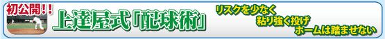 �z���p