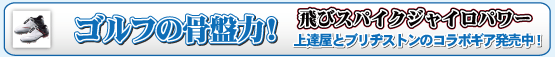 �S���t�̍��՗�!