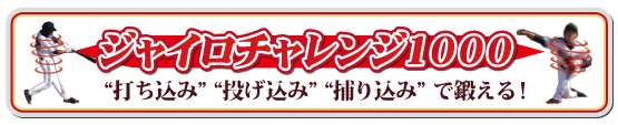 �W���C���`�������W1000