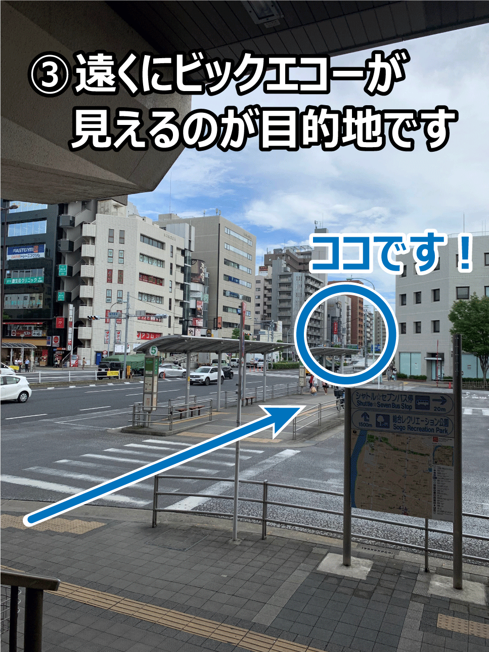 �B�����Ƀr�b�N�G�R�[��������̂��ړI�n�ł�